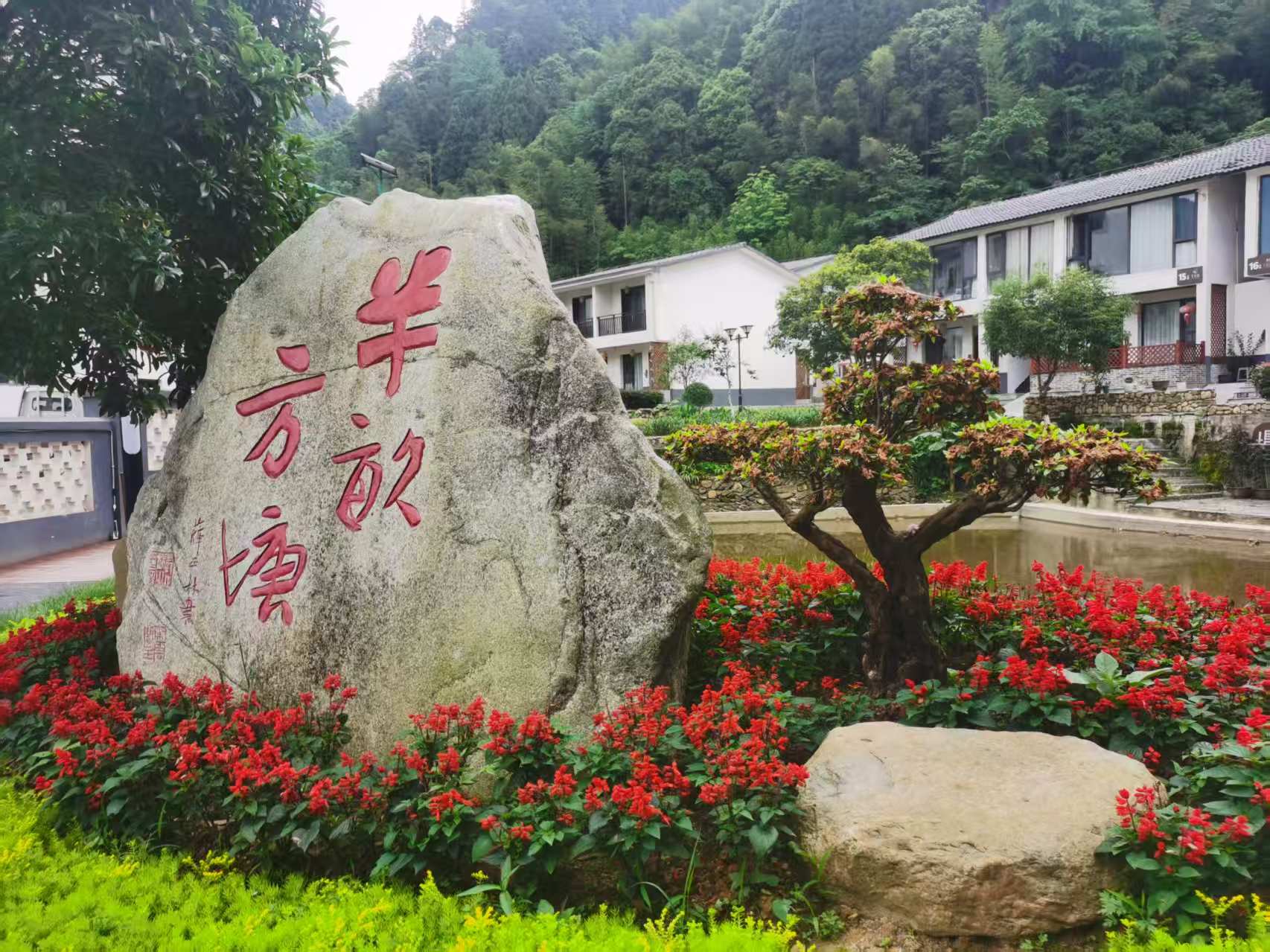 您的每一分钱消费都是乡村振兴的贡献(图文)